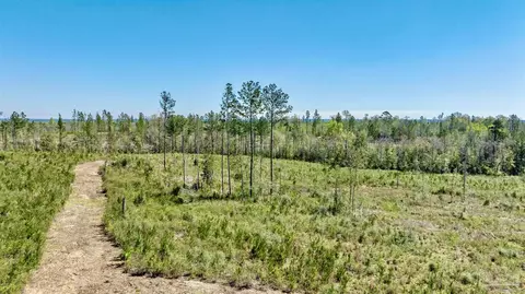 lot3 C Cotton Lake Rd, Molino, FL 32577