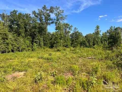 lot5 C Cotton Lake Rd, Molino, FL 32577