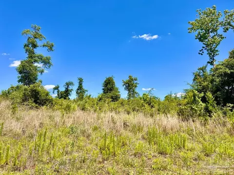 lot7 C Cotton Lake Rd, Molino, FL 32577