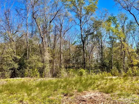 lot8 C Cotton Lake Rd, Molino, FL 32577