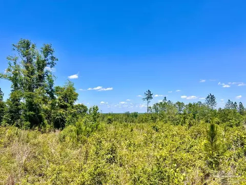lot12 C Cotton Lake Rd, Molino, FL 32577
