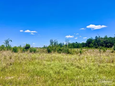 lot13 C Cotton Lake Rd, Molino, FL 32577