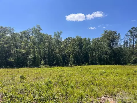 lot14 C Hwy 29, Molino, FL 32577