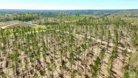 lot15 C Hwy 29, Molino, FL 32577