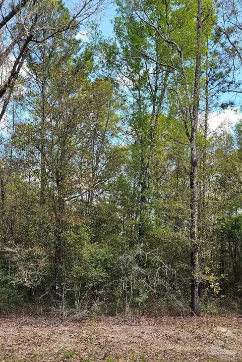 Pleasant Grove Rd, Milton, FL 32570 photo 3