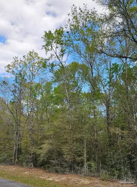Pleasant Grove Rd, Milton, FL 32570 photo 5