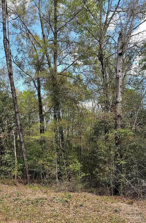 Pleasant Grove Rd, Milton, FL 32570 photo 4