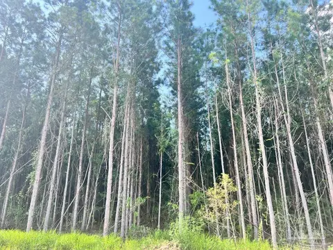 4332 Russell Elliott Rd, Jay, FL 32565 photo 46