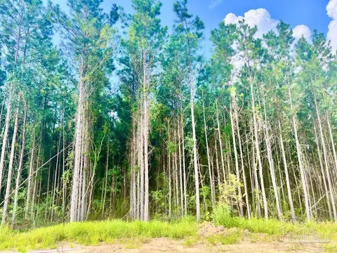 4332 Russell Elliott Rd, Jay, FL 32565 photo 45