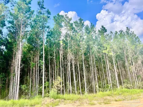4332 Russell Elliott Rd, Jay, FL 32565 photo 44