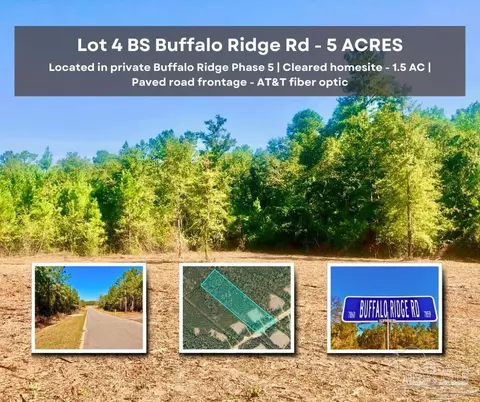 lot4 Bs Buffalo Ridge Rd, Pace, FL 32571