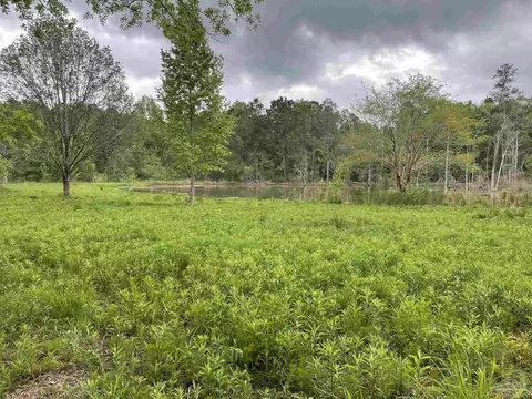 7236 Tidwell Rd, Pace, FL 32571 photo 1