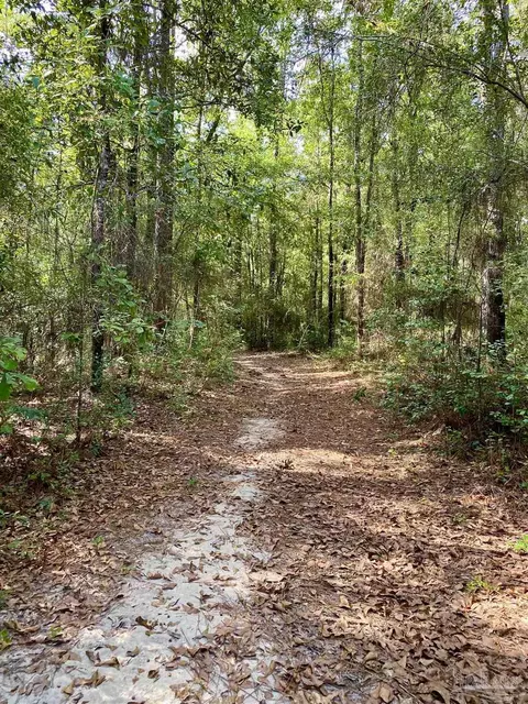 1617 Christmas Tree Rd, Milton, FL 32570 photo 9