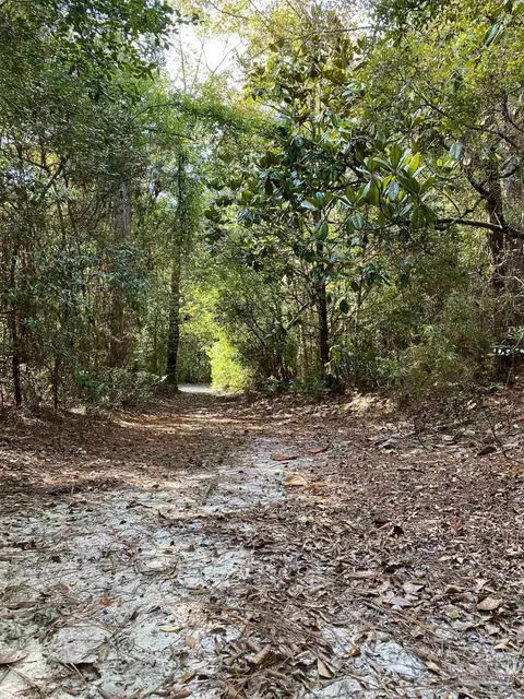 1617 Christmas Tree Rd, Milton, FL 32570 photo 11