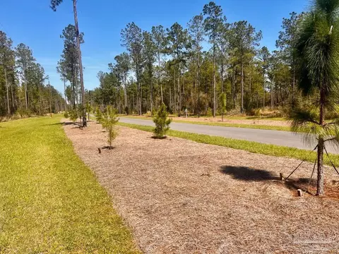 lot38 Buck Chase Ln, Pace, FL 32571 photo 7