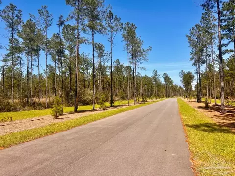 lot38 Buck Chase Ln, Pace, FL 32571 photo 8