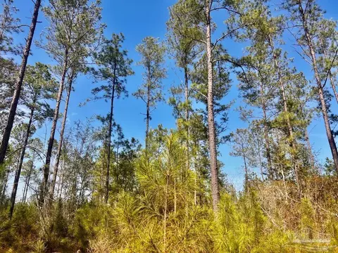 lot38 Buck Chase Ln, Pace, FL 32571 photo 28