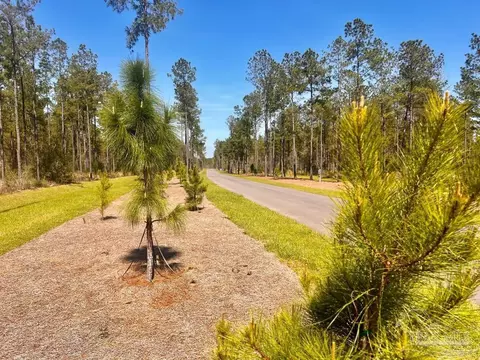 lot38 Buck Chase Ln, Pace, FL 32571 photo 6