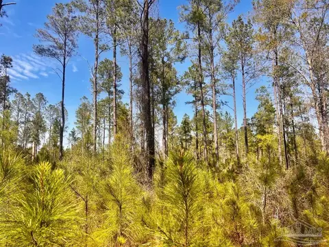 lot38 Buck Chase Ln, Pace, FL 32571 photo 25