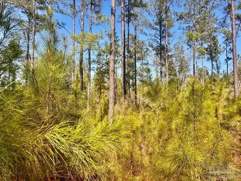 lot38 Buck Chase Ln, Pace, FL 32571 photo 27