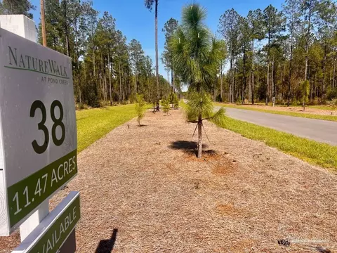 lot38 Buck Chase Ln, Pace, FL 32571 photo 5