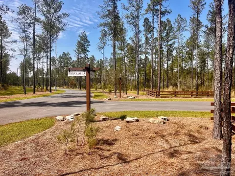 lot38 Buck Chase Ln, Pace, FL 32571 photo 14
