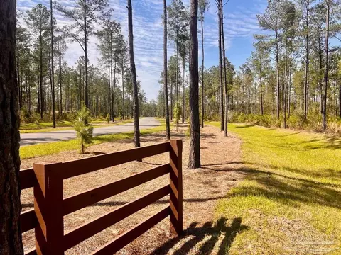 lot38 Buck Chase Ln, Pace, FL 32571 photo 19