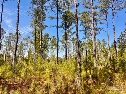 lot38 Buck Chase Ln, Pace, FL 32571 photo 26