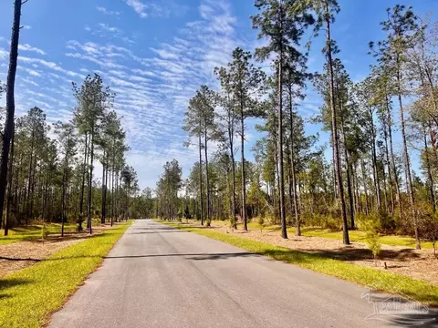 lot38 Buck Chase Ln, Pace, FL 32571 photo 29