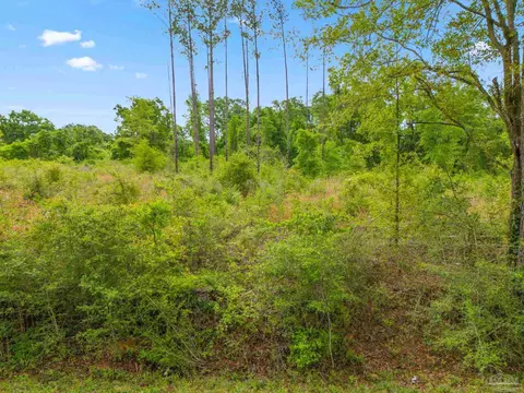 lot28 Mineral Springs Rd, Jay, FL 32565