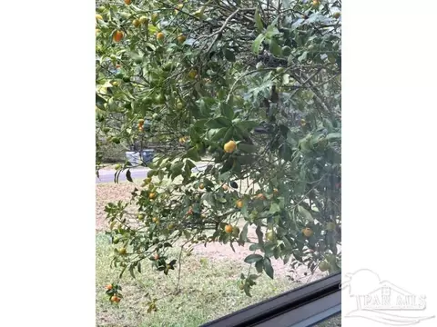 Other - 2720 Victor Rd, Mcdavid, FL 32568 photo 1 of 13