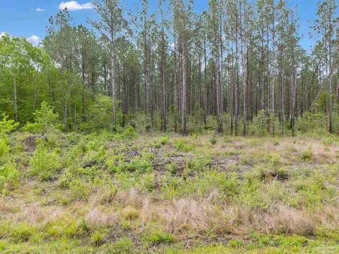 lot7 Mineral Springs Rd, Jay, FL 32565