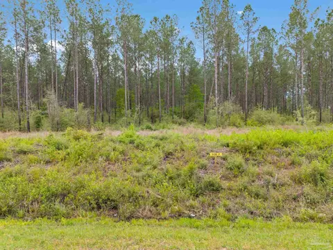 lot6 Mineral Springs Rd, Jay, FL 32565