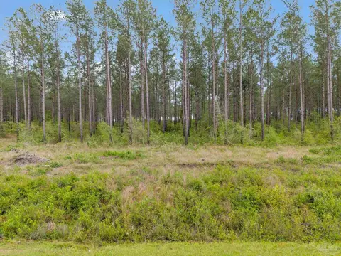 lot5 Mineral Springs Rd, Jay, FL 32565