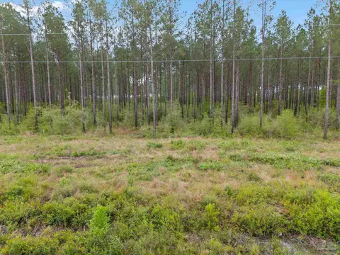 lot4 Mineral Springs Rd, Jay, FL 32565
