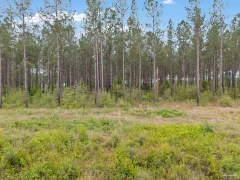 lot3 Mineral Springs Rd, Jay, FL 32565