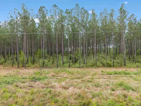 lot2 Mineral Springs Rd, Jay, FL 32565