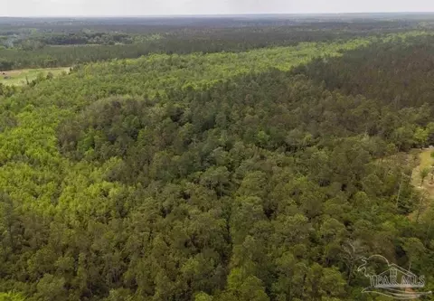 10335 Chumuckla Springs Rd, Jay, FL 32565 photo 3