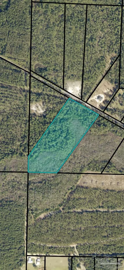 10335 Chumuckla Springs Rd, Jay, FL 32565 photo 7