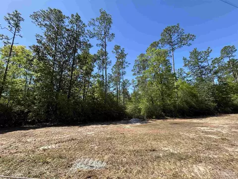 10335 Chumuckla Springs Rd, Jay, FL 32565 photo 4