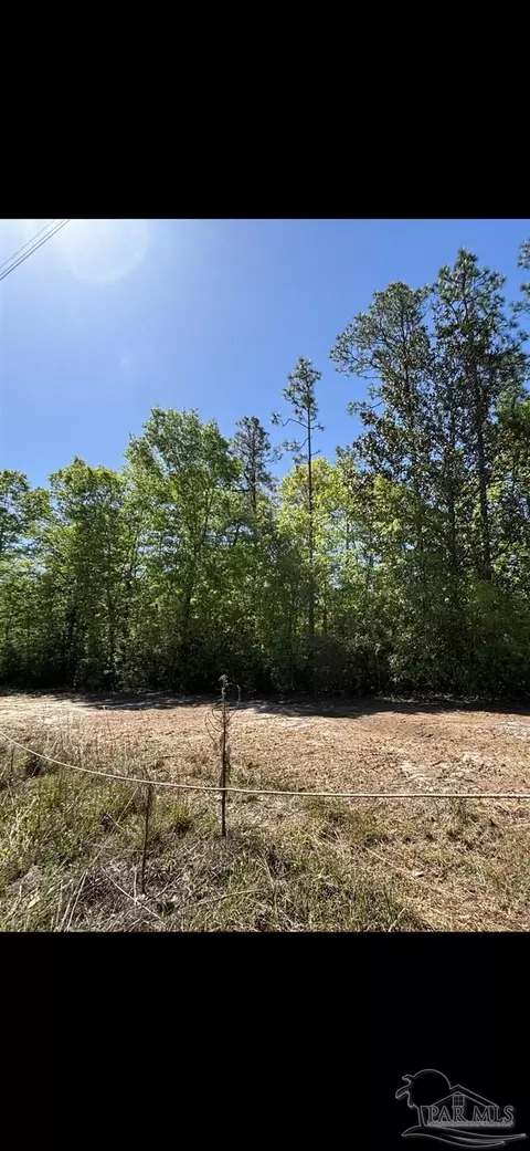 10335 Chumuckla Springs Rd, Jay, FL 32565 photo 6