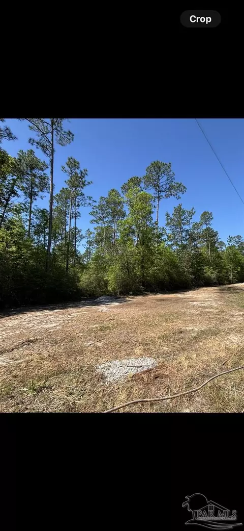 10335 Chumuckla Springs Rd, Jay, FL 32565 photo 5
