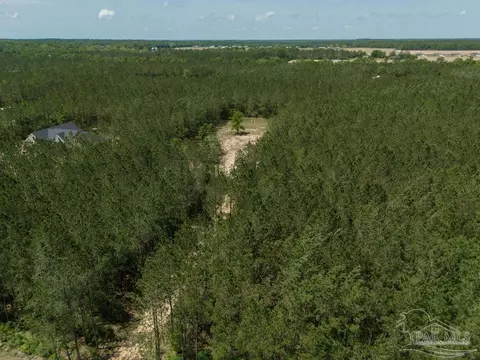 9153 Greyrock Landing Rd, Pace, FL 32571 photo 34
