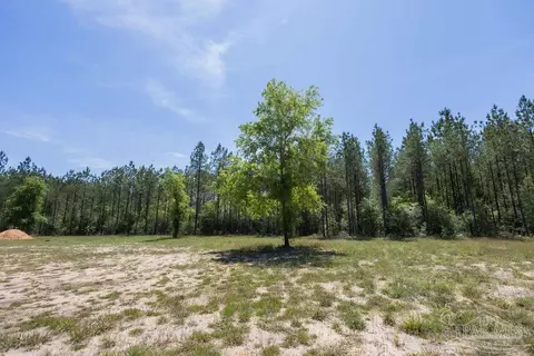 9153 Greyrock Landing Rd, Pace, FL 32571 photo 27