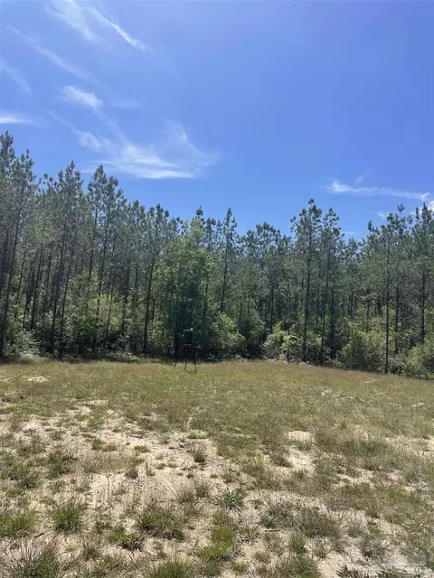 9153 Greyrock Landing Rd, Pace, FL 32571 photo 7