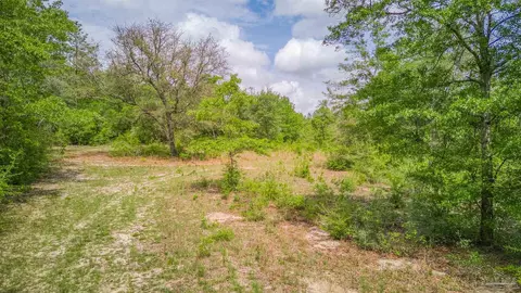 View/Area - 2874 Diamond Creek Dr, Pace, FL 32571 photo 3 of 4