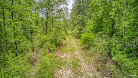 View/Area - 2874 Diamond Creek Dr, Pace, FL 32571 photo 2 of 4