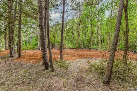 0000 Bobcat Trl, Milton, FL 32583 photo 9