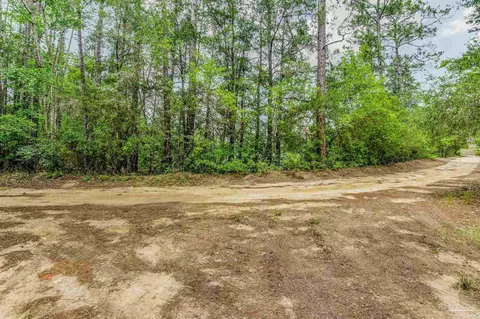 0000 Bobcat Trl, Milton, FL 32583 photo 2