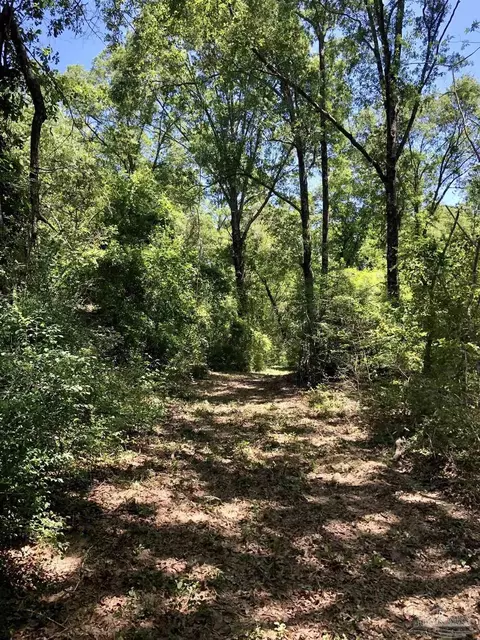 5 Hwy 4, Jay, FL 32565 photo 9